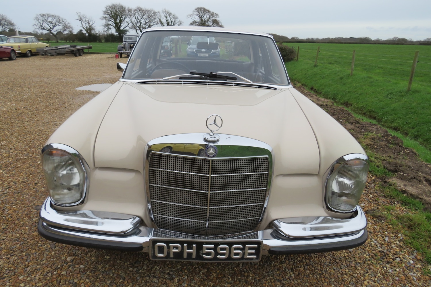 Used Mercedes-Benz 250 1967 for sale - 76922121: Photo 21