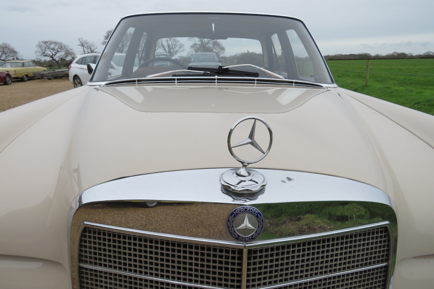 Used Mercedes-Benz 250 1967 for sale - 76922121: Photo 28