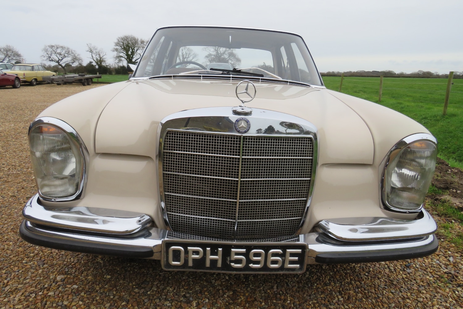 Used Mercedes-Benz 250 1967 for sale - 76922121: Photo 3