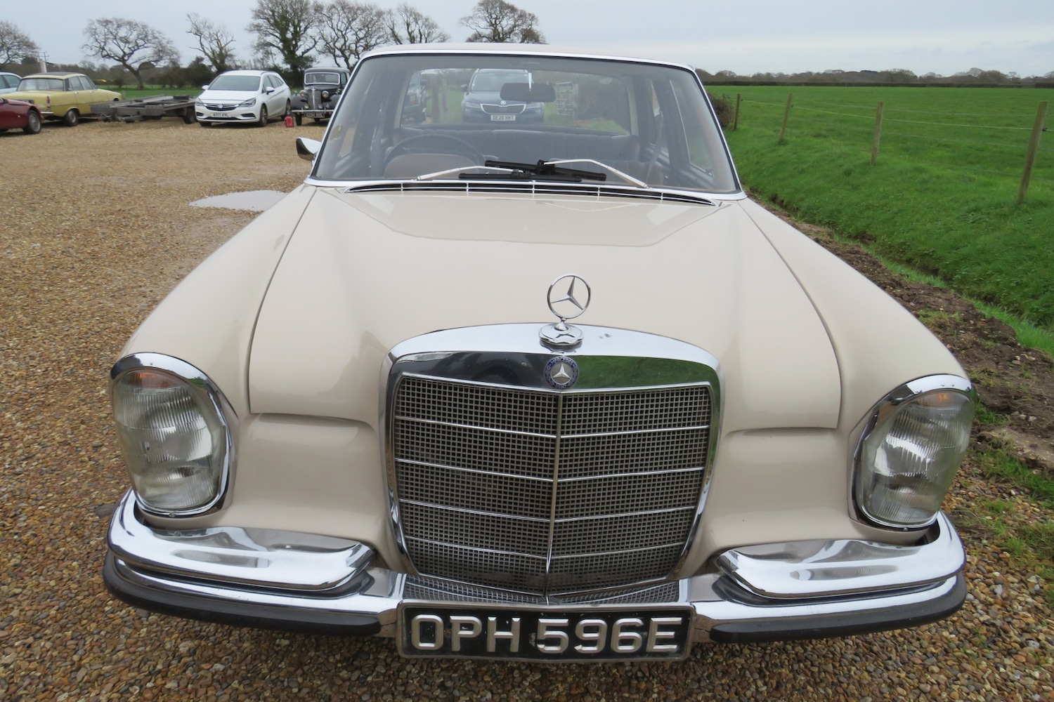 Used Mercedes-Benz 250 1967 for sale - 76922121: Photo 62