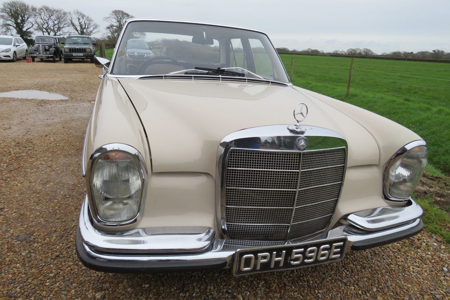 Used Mercedes-Benz 250 1967 for sale - 76922121: Photo 63