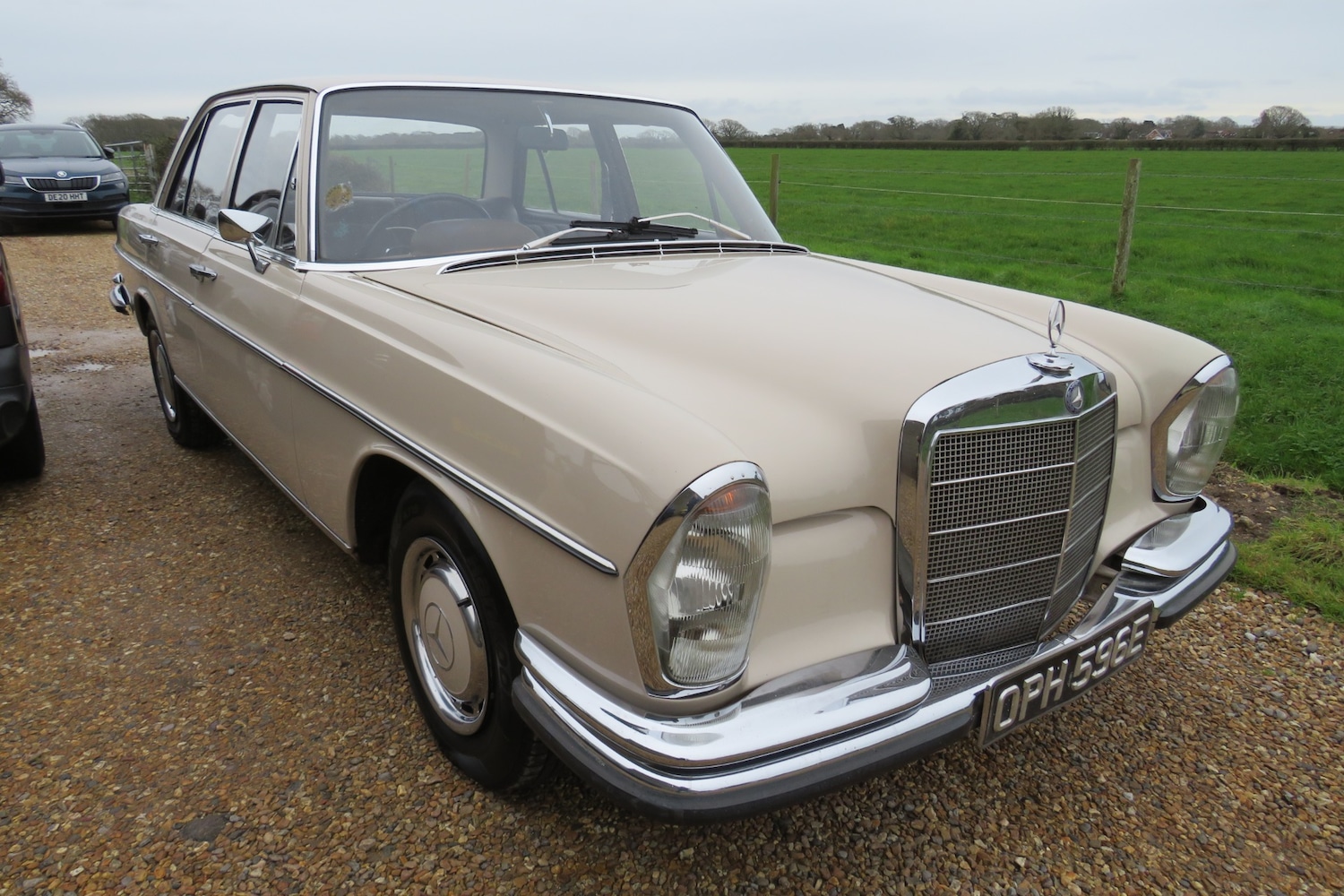 Used Mercedes-Benz 250 1967 for sale - 76922121: Photo 64