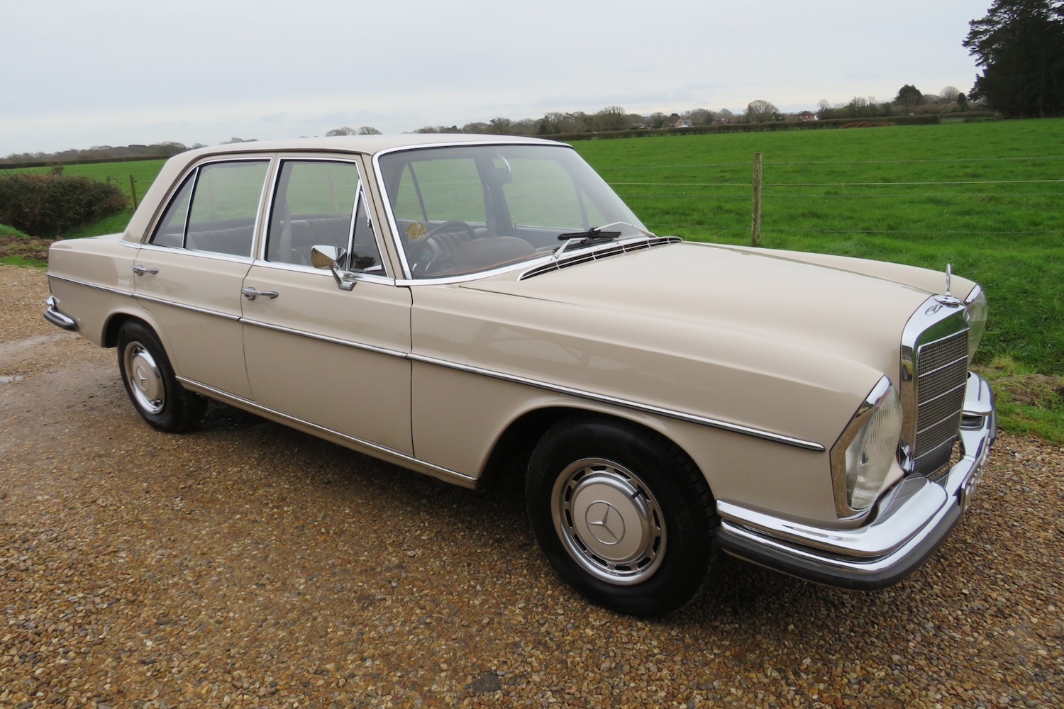 Used Mercedes-Benz 250 1967 for sale - 76922121: Photo 65
