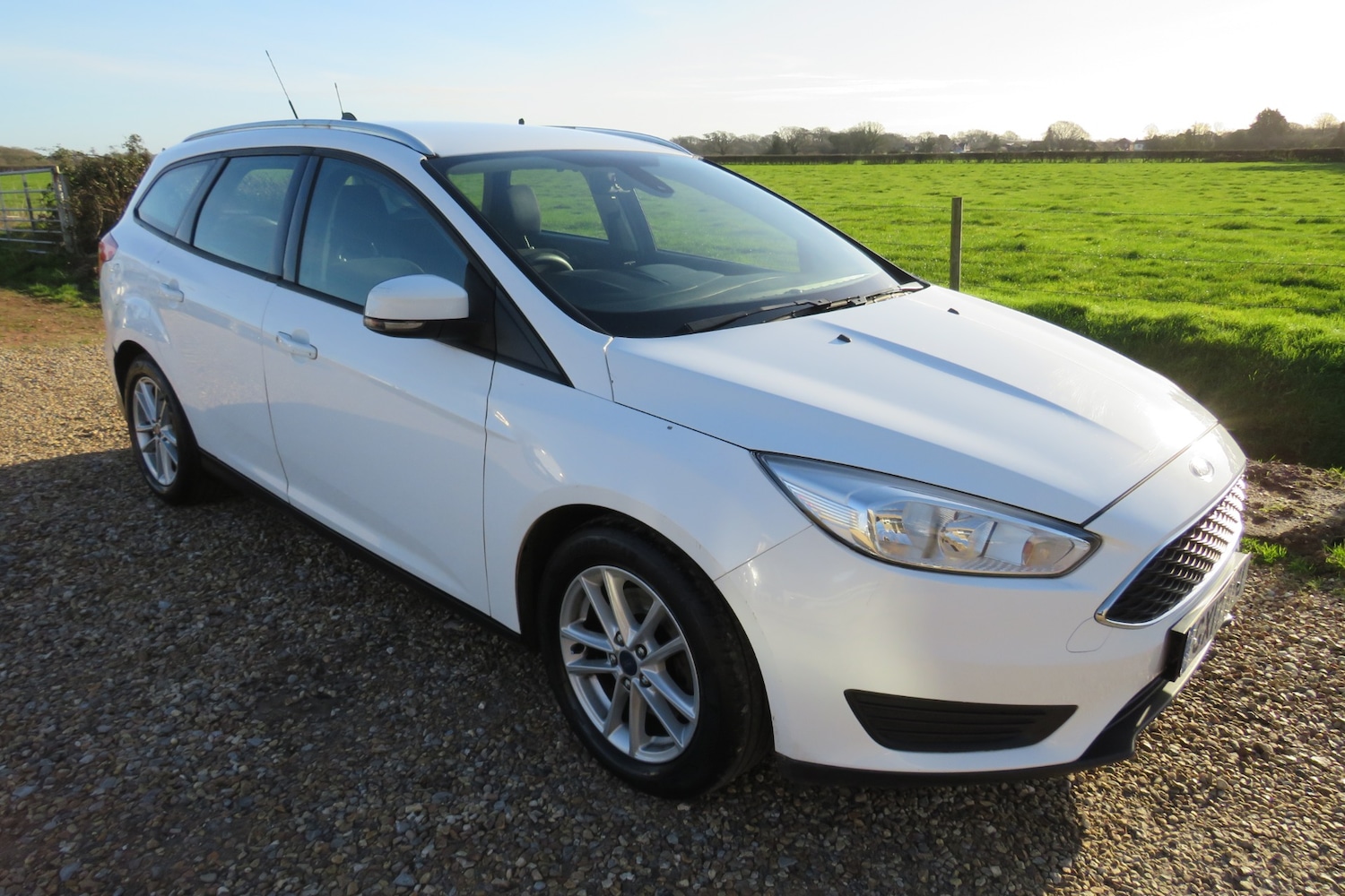 Used Ford Focus 2017 for sale - 77069444: Photo 12