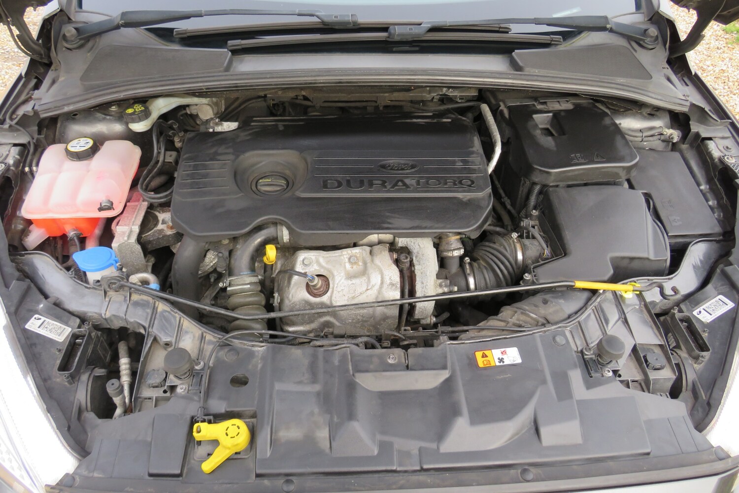 Used Ford Focus 2015 for sale - 77581445: Photo 10