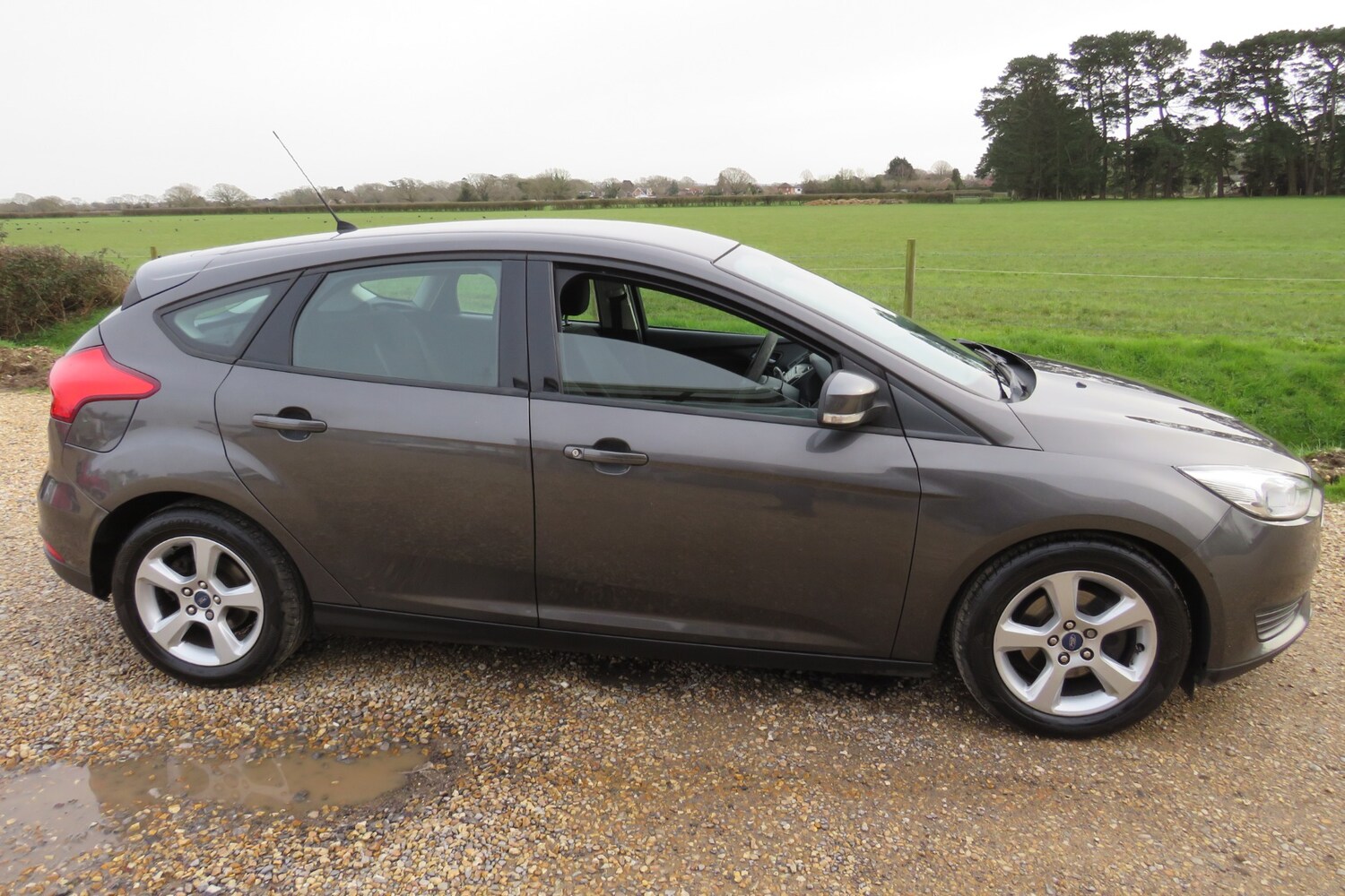 Used Ford Focus 2015 for sale - 77581445: Photo 13