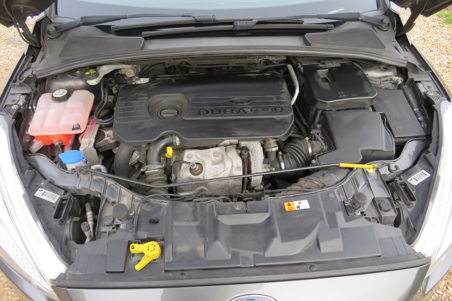 Used Ford Focus 2015 for sale - 77581445: Photo 21