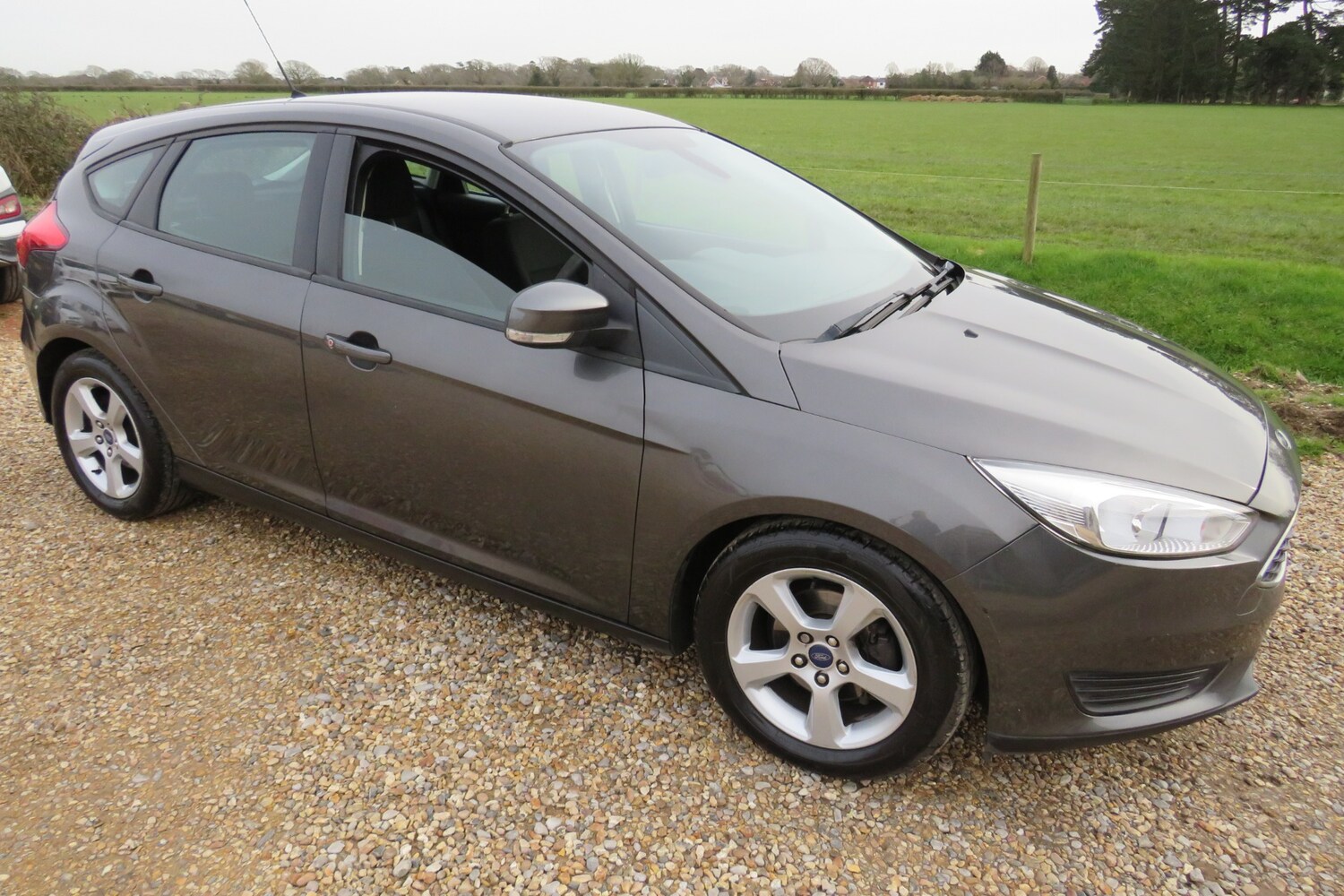 Used Ford Focus 2015 for sale - 77581445: Photo 31