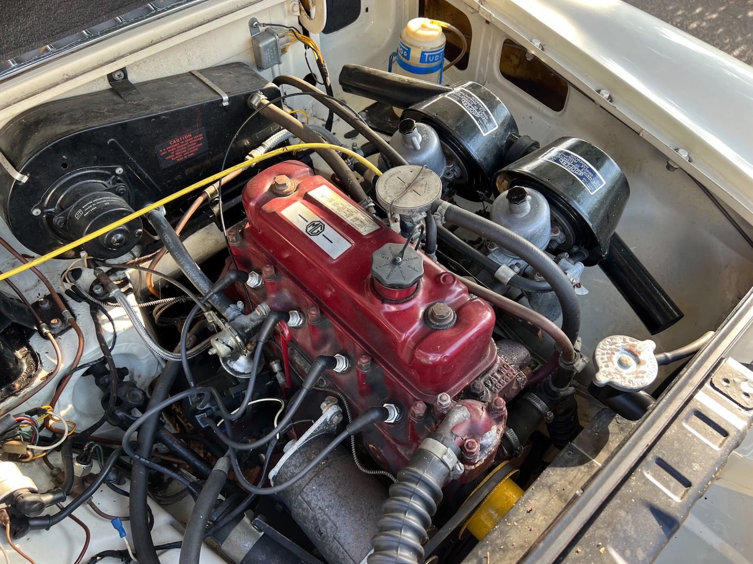 Used MG MGB GT 1966 for sale - 76018307: Photo 13