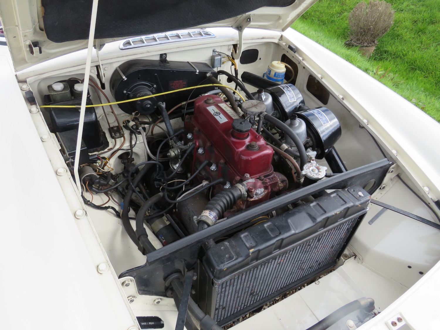 Used MG MGB GT 1966 for sale - 76018307: Photo 25