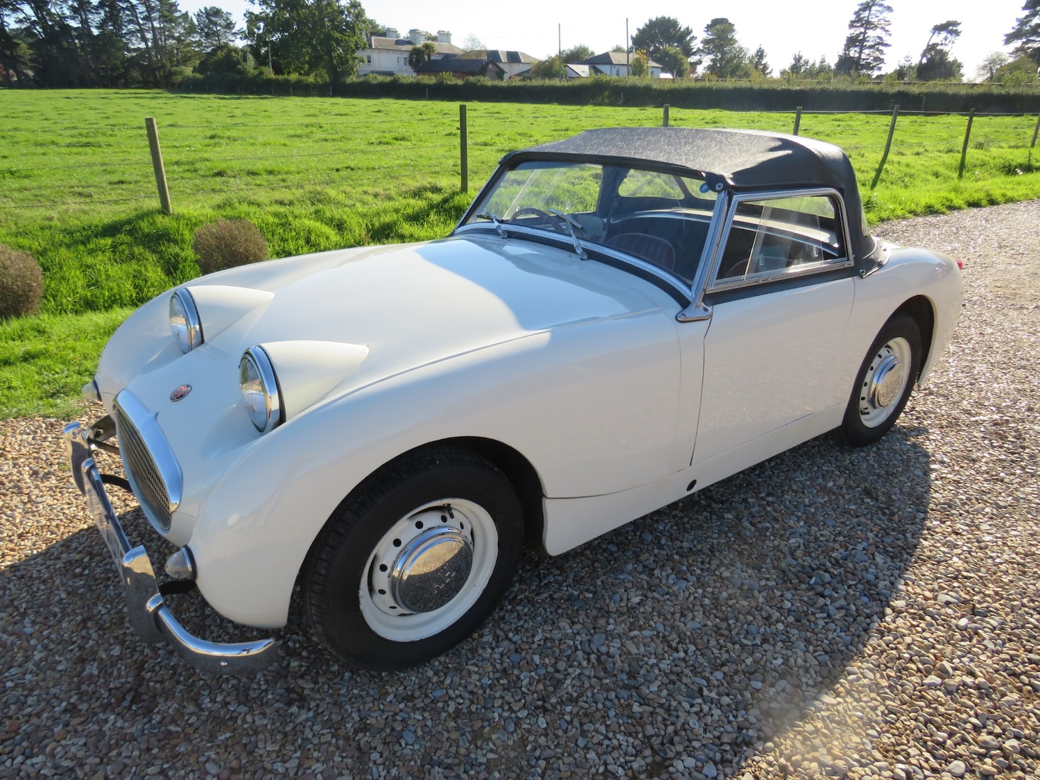 Used Austin Sprite 1959 for sale - 75985001: Photo 1