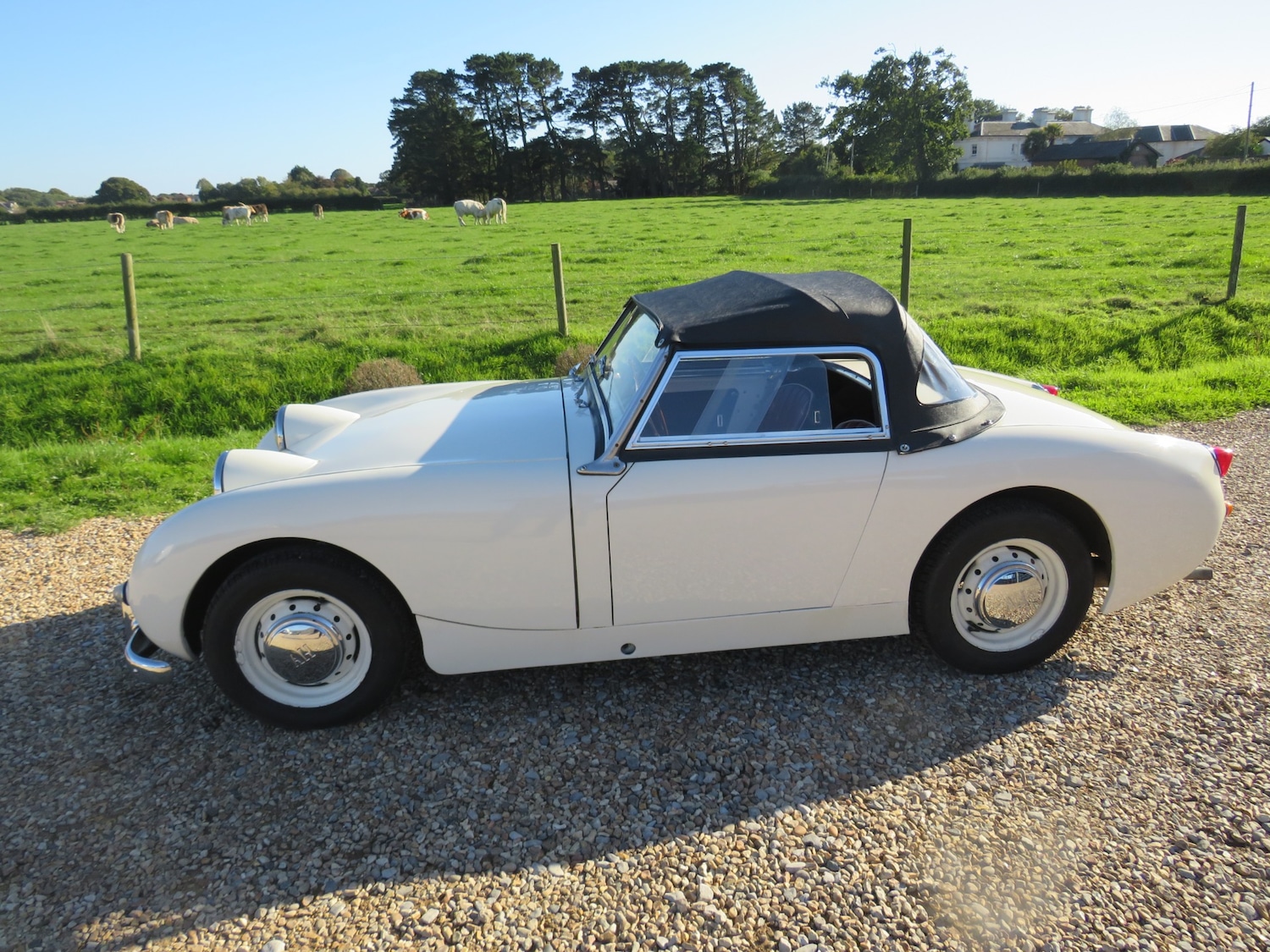 Used Austin Sprite 1959 for sale - 75985001: Photo 5