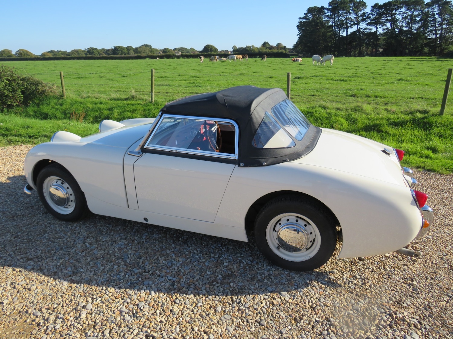 Used Austin Sprite 1959 for sale - 75985001: Photo 6