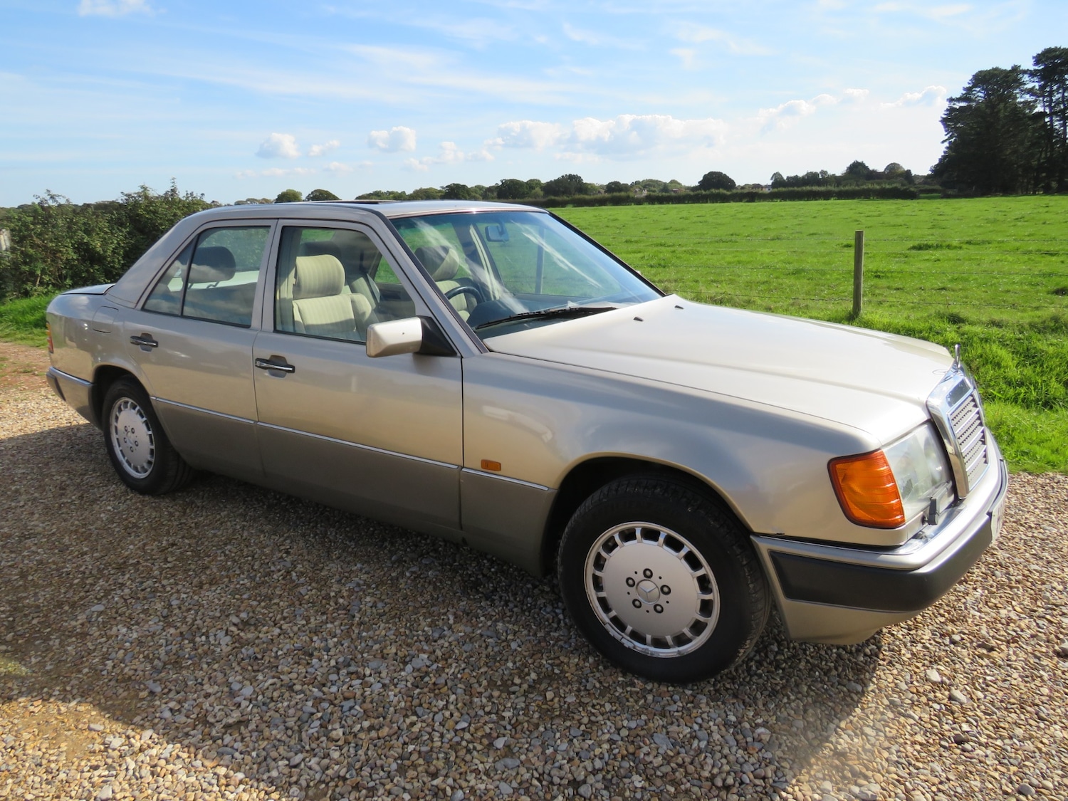 Used Mercedes-Benz E-Class 1990 for sale - 76090634: Photo 1
