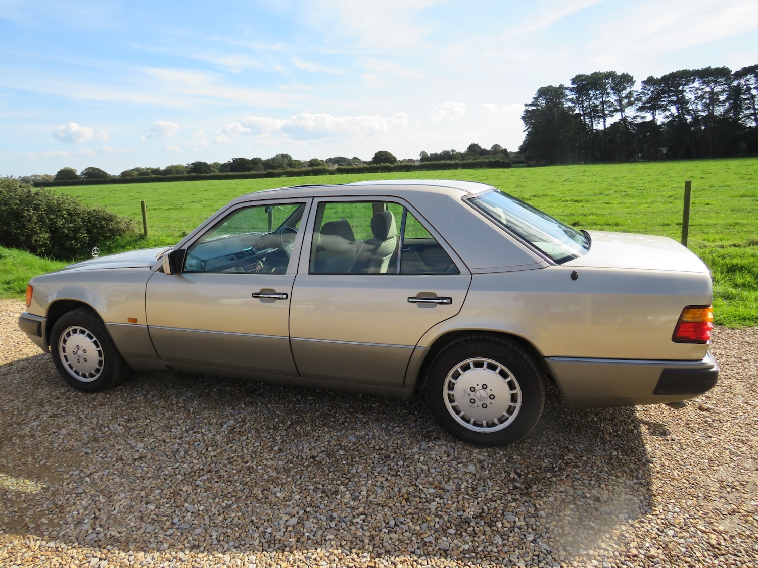 Used Mercedes-Benz E-Class 1990 for sale - 76090634: Photo 25