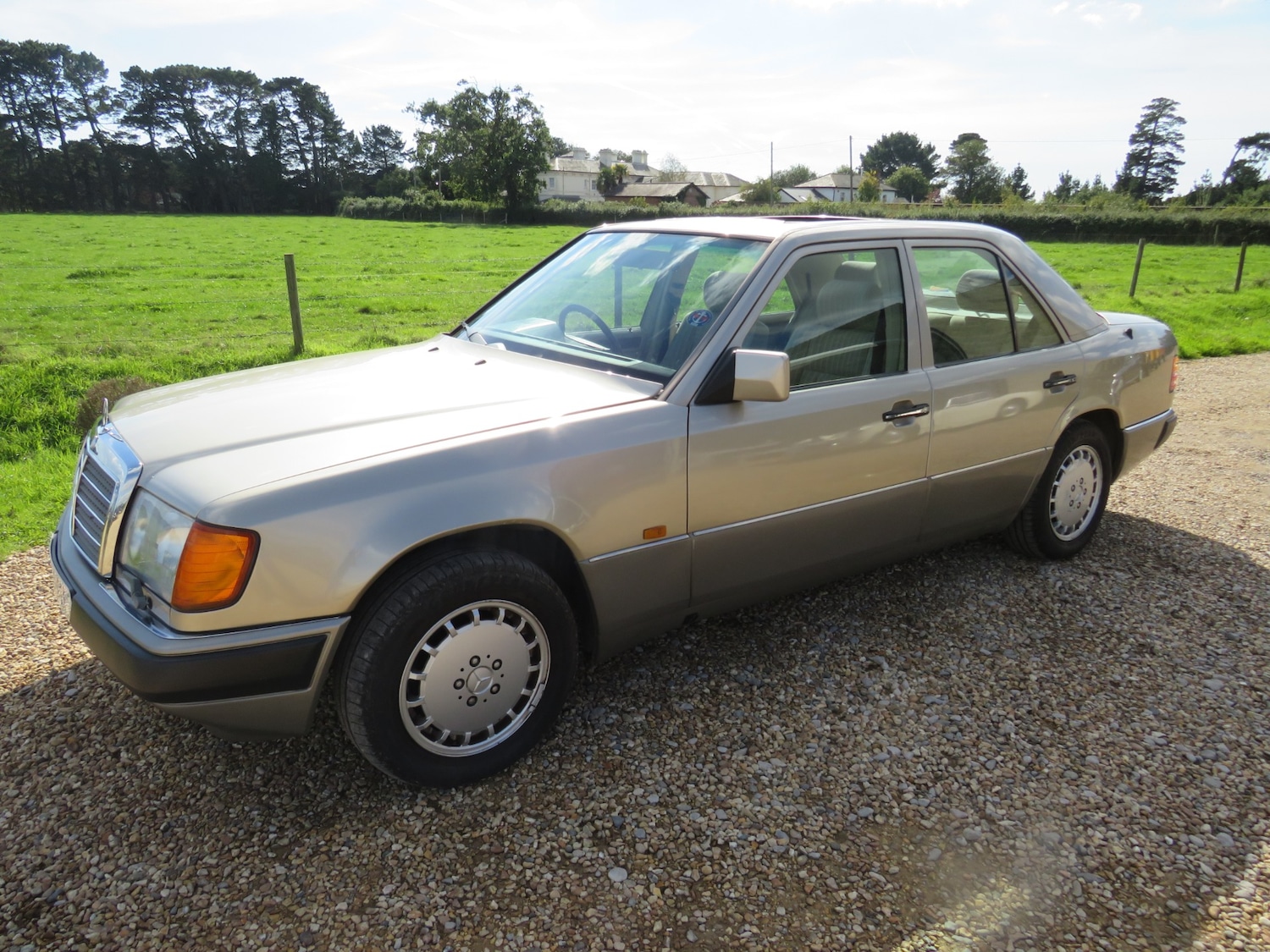 Used Mercedes-Benz E-Class 1990 for sale - 76090634: Photo 27