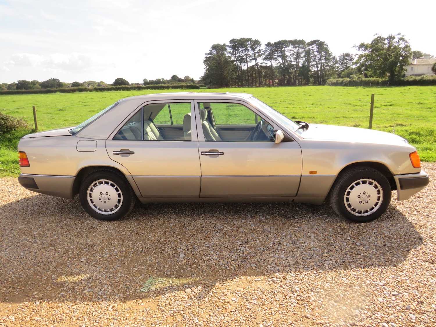Used Mercedes-Benz E-Class 1990 for sale - 76090634: Photo 4