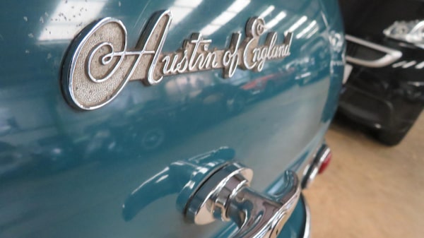 Used Austin A30 1955 for sale - 69370628: Photo 19