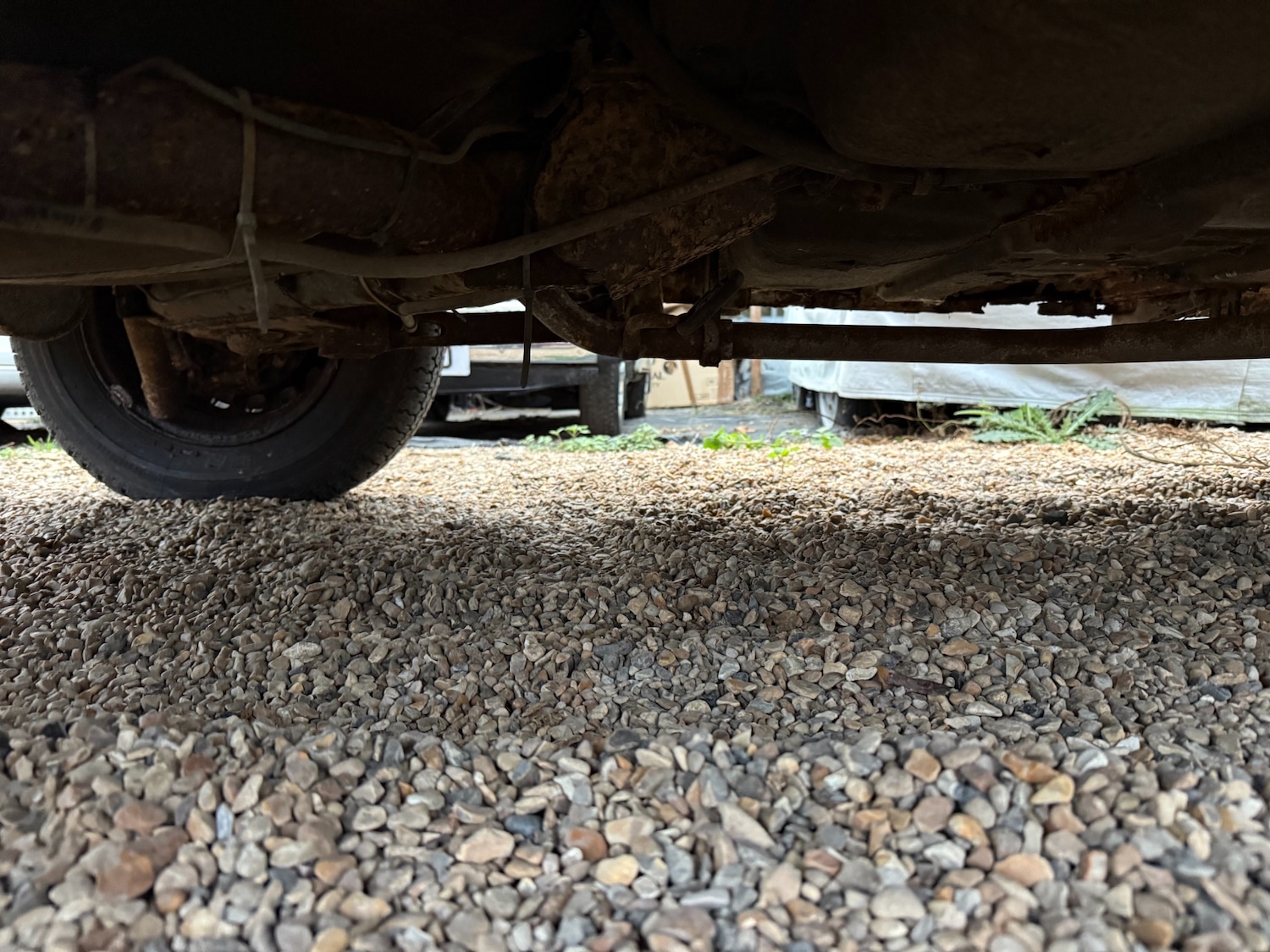 Used Fiat Panda 1992 for sale - 75866342: Photo 41