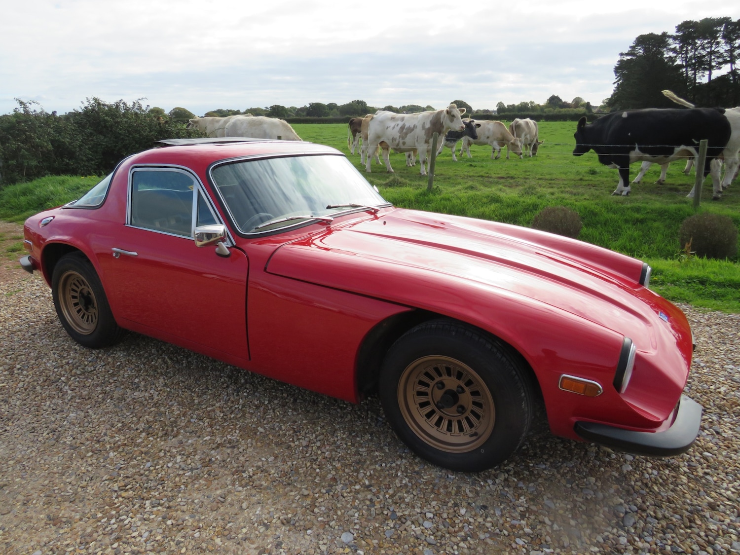 Used TVR M Series 1977 for sale - 76008973: Photo 1