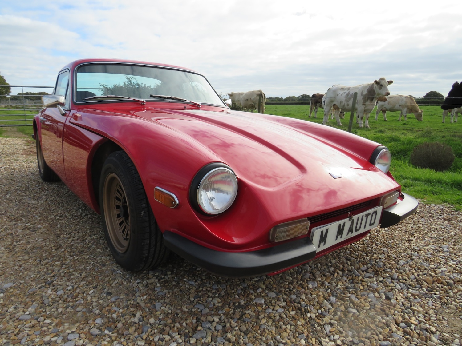 Used TVR M Series 1977 for sale - 76008973: Photo 2