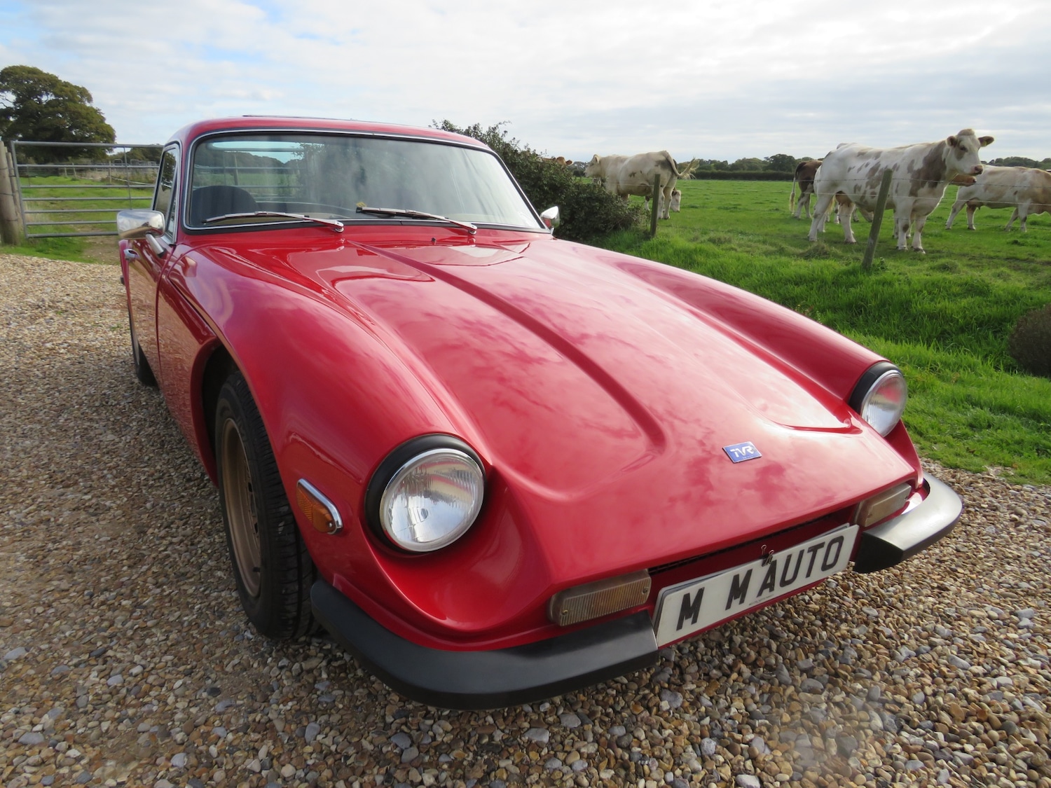 Used TVR M Series 1977 for sale - 76008973: Photo 3
