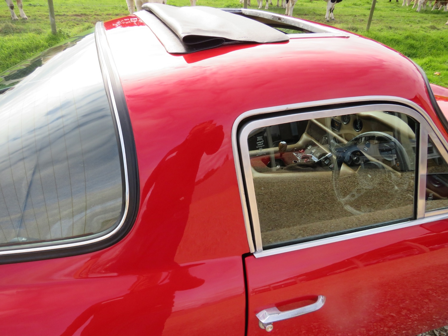 Used TVR M Series 1977 for sale - 76008973: Photo 38