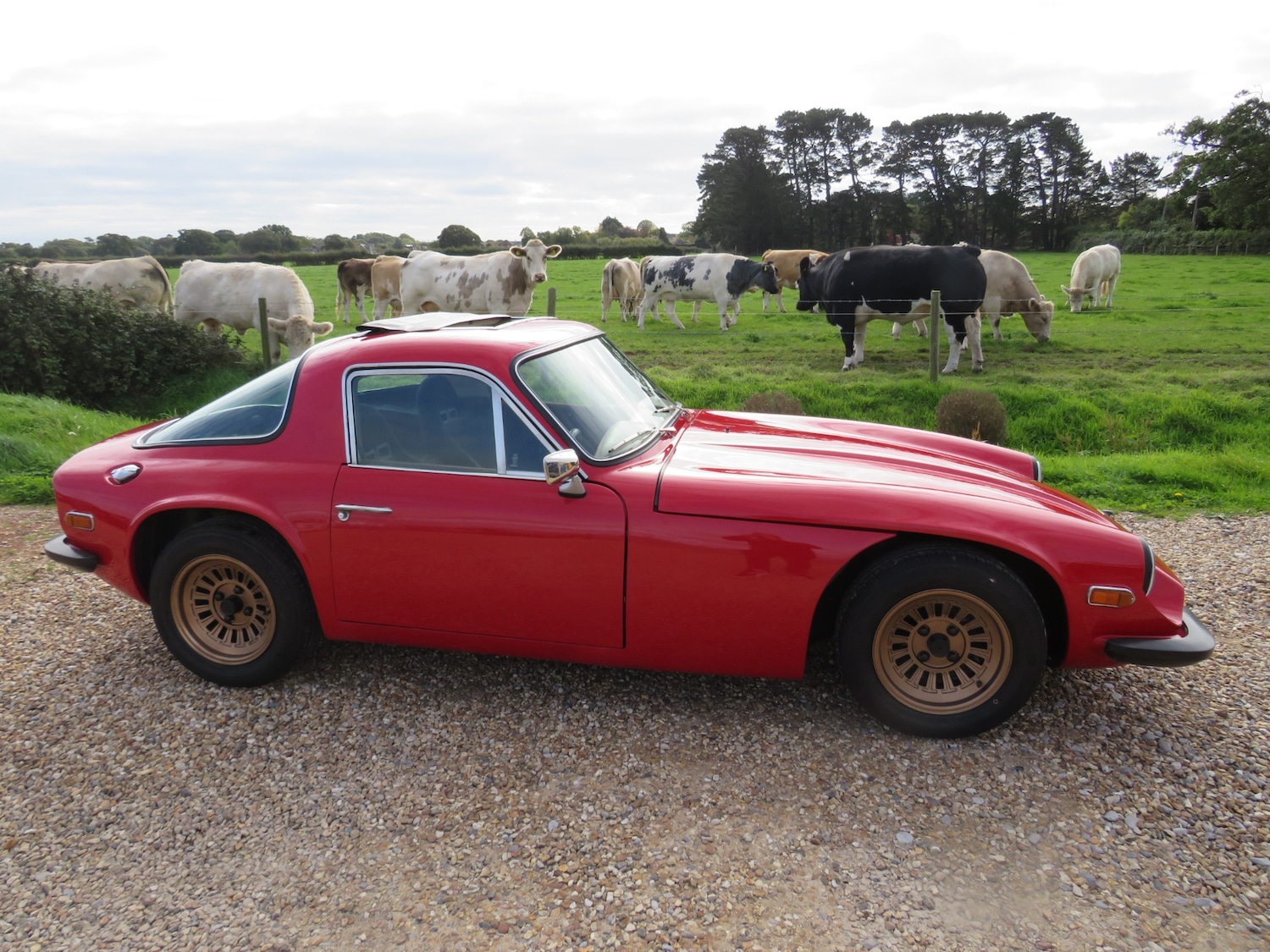 Used TVR M Series 1977 for sale - 76008973: Photo 5