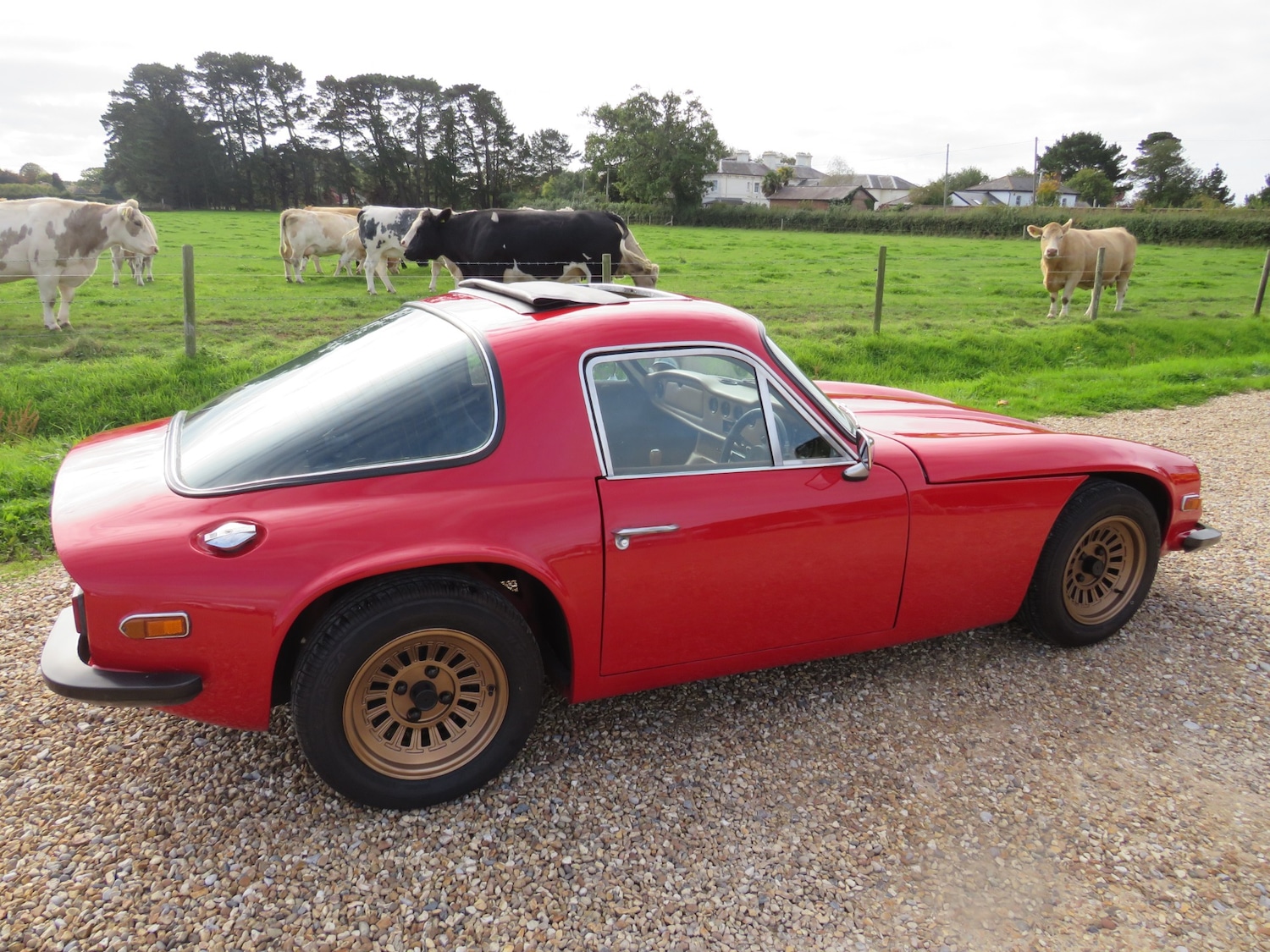 Used TVR M Series 1977 for sale - 76008973: Photo 6