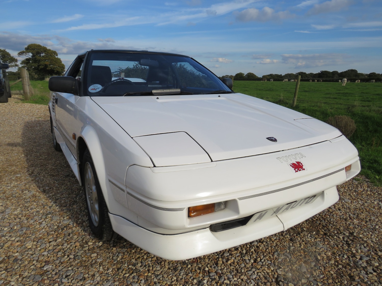 Used Toyota MR2 1990 for sale - 76011338: Photo 22