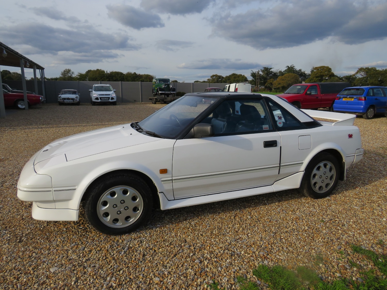 Used Toyota MR2 1990 for sale - 76011338: Photo 23