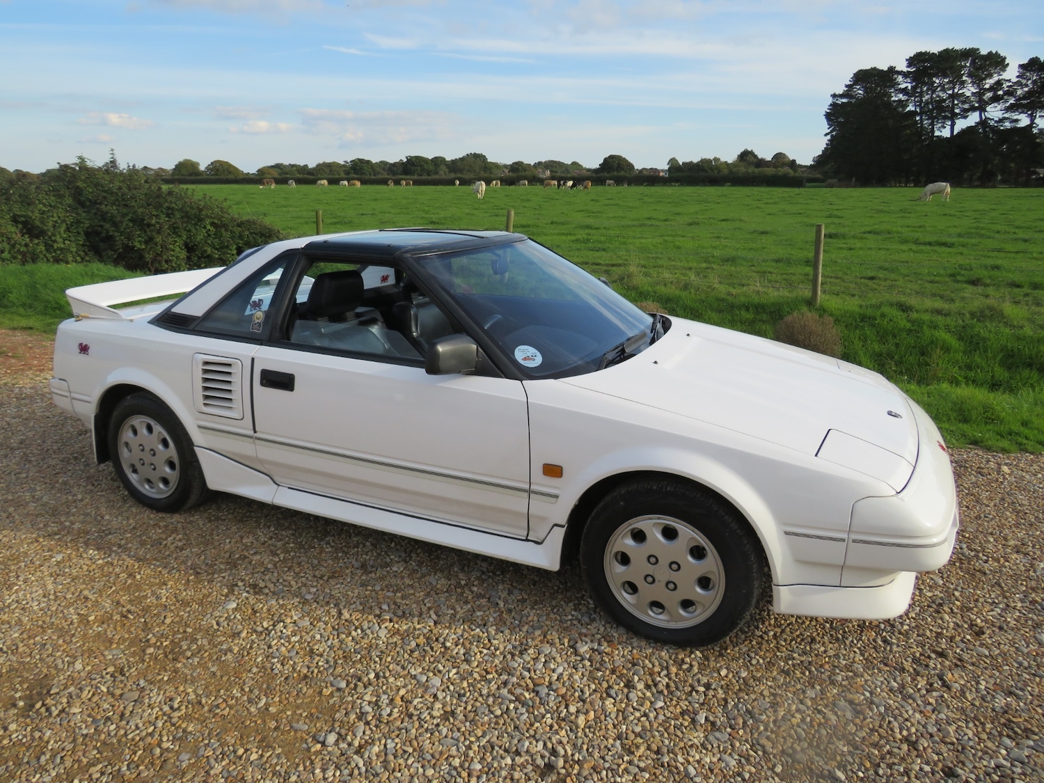 Used Toyota MR2 1990 for sale - 76011338: Photo 4