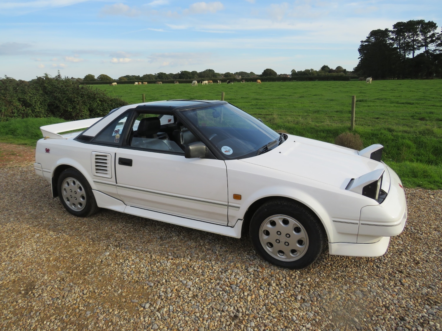 Used Toyota MR2 1990 for sale - 76011338: Photo 44