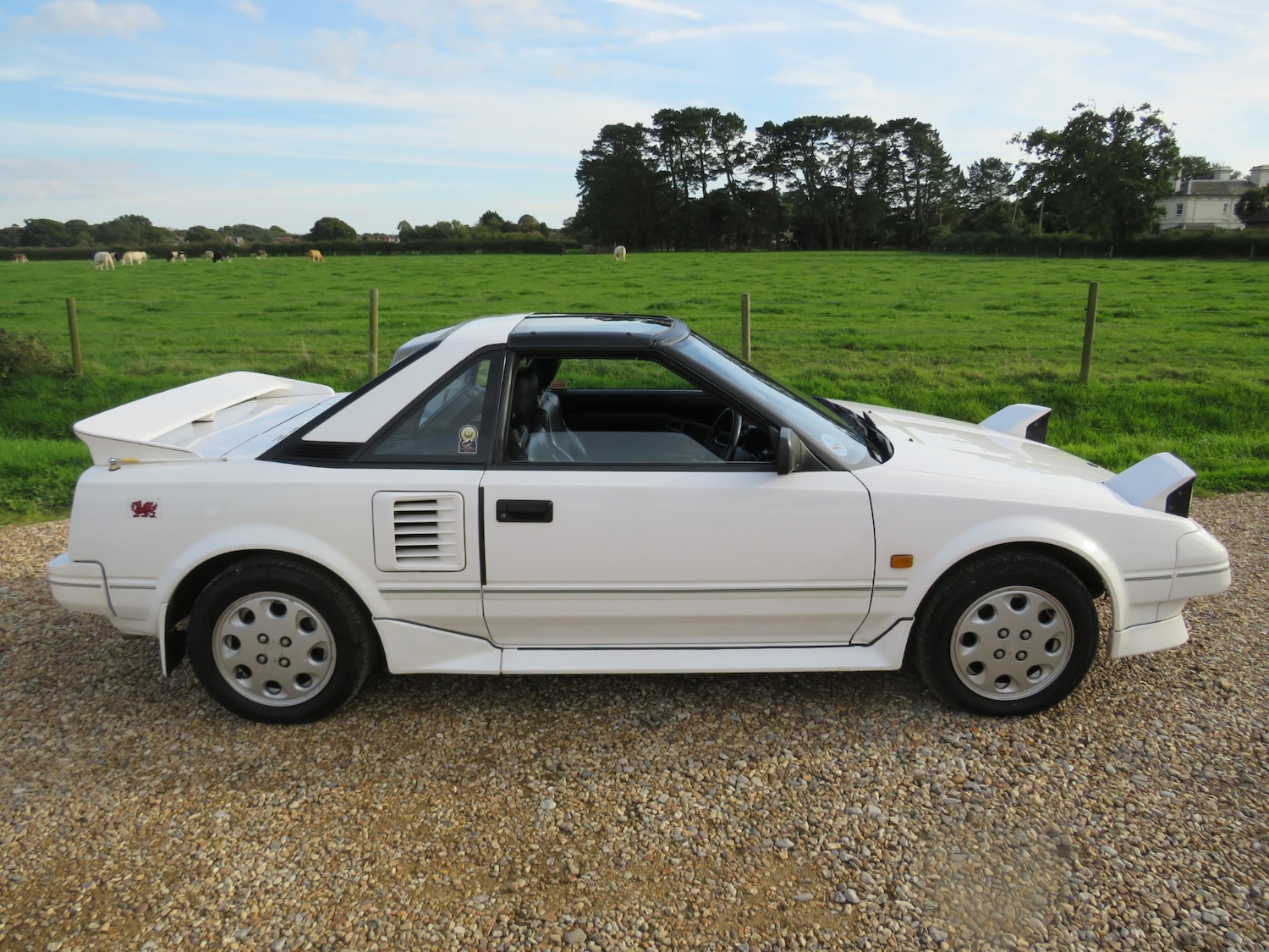 Used Toyota MR2 1990 for sale - 76011338: Photo 45