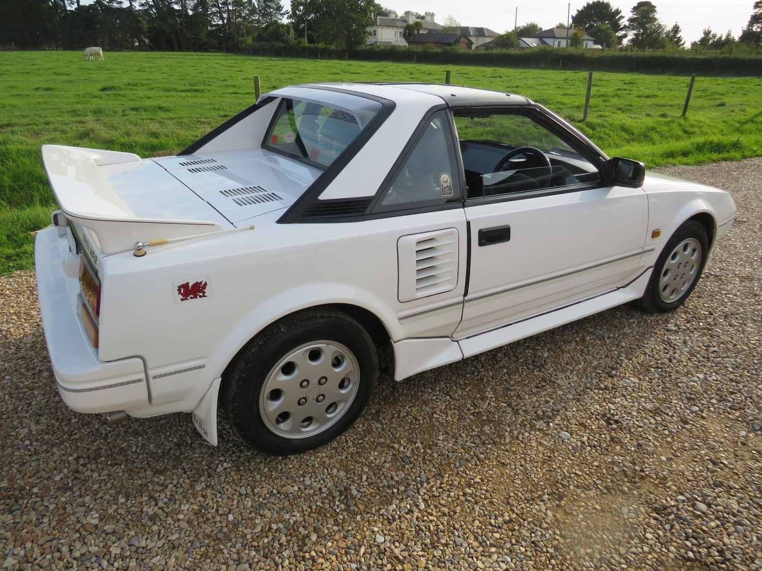 Used Toyota MR2 1990 for sale - 76011338: Photo 7