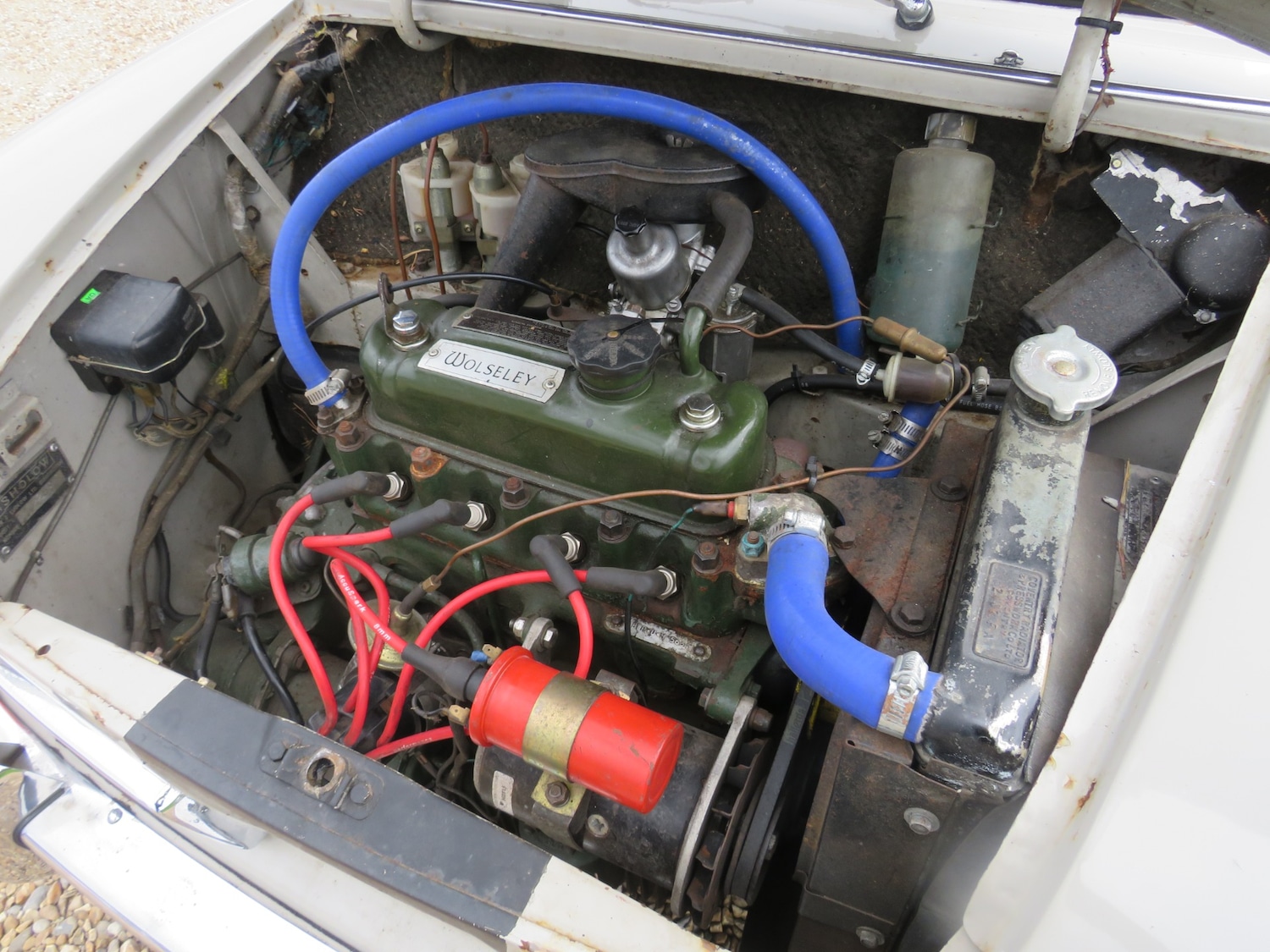 Used Wolseley Hornet 1963 for sale - 76262732: Photo 24