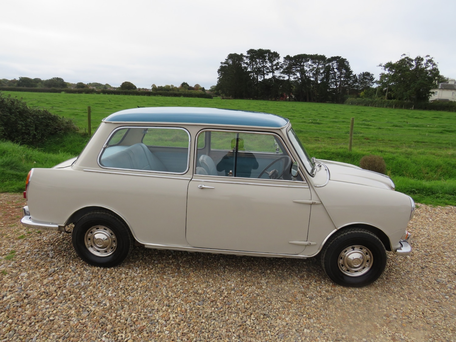 Used Wolseley Hornet 1963 for sale - 76262732: Photo 5
