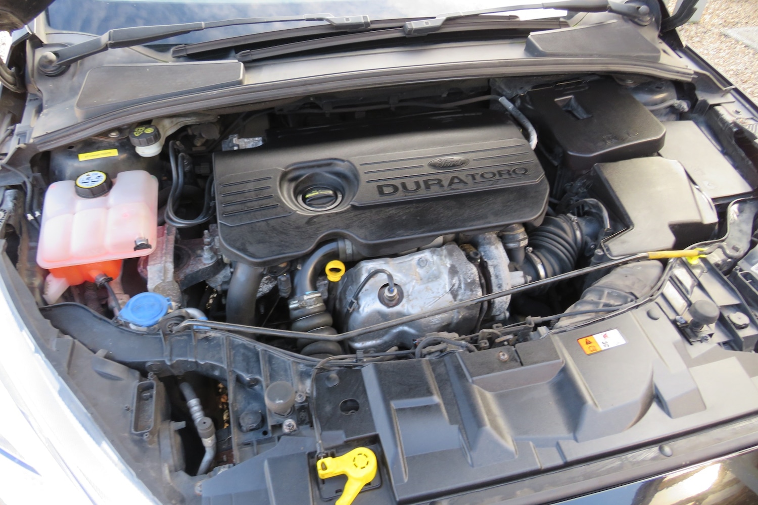 Used Ford Focus 2016 for sale - 77731064: Photo 23