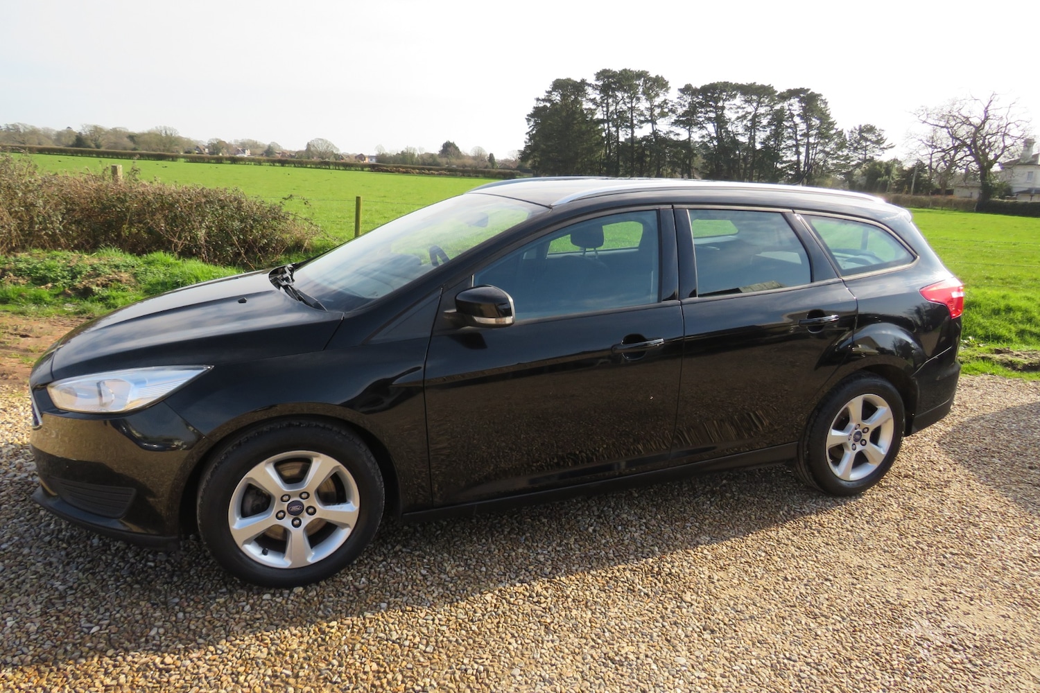 Used Ford Focus 2016 for sale - 77731064: Photo 28