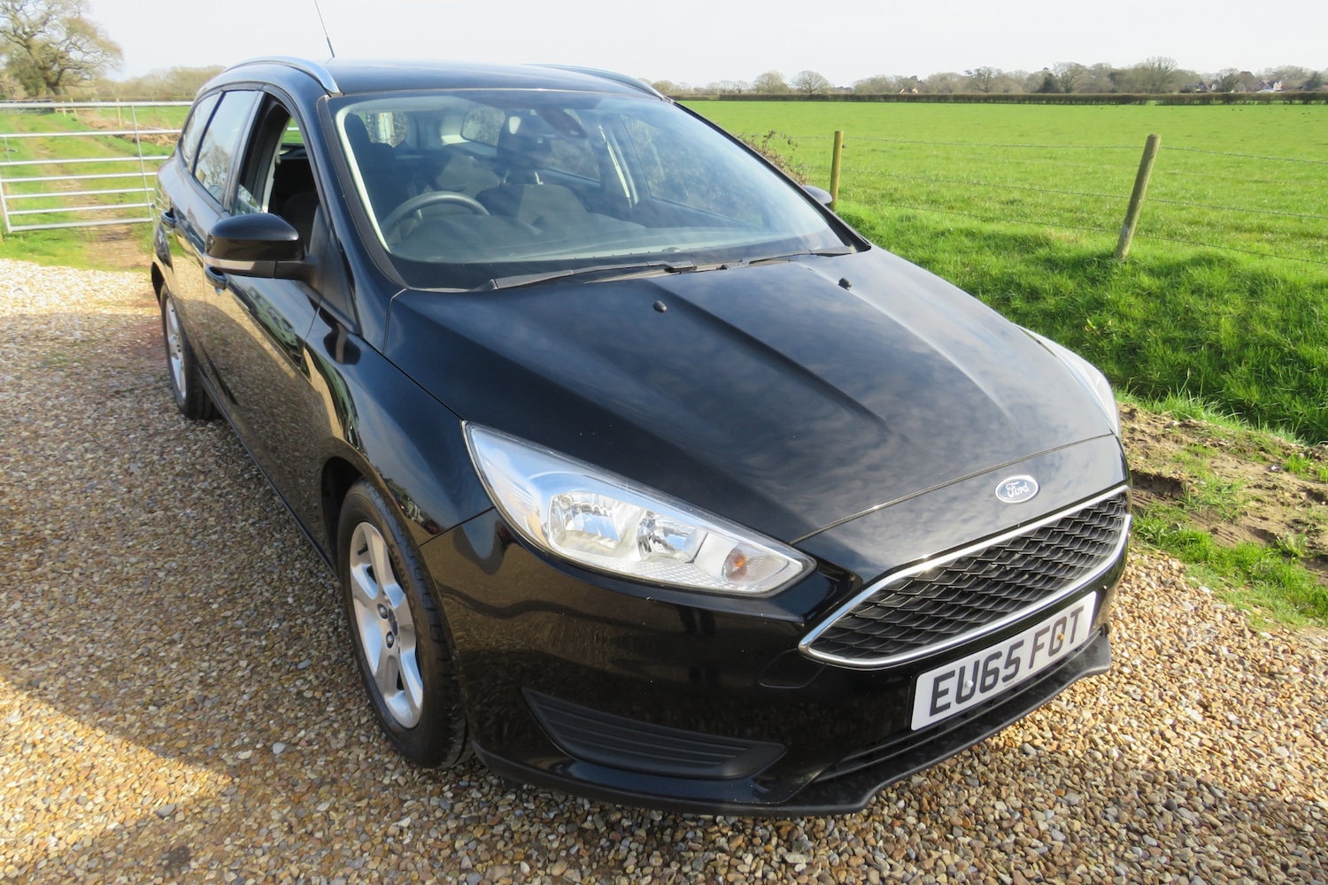 Used Ford Focus 2016 for sale - 77731064: Photo 3