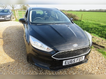 Used Ford Focus 2016 for sale - 77731064: Photo
