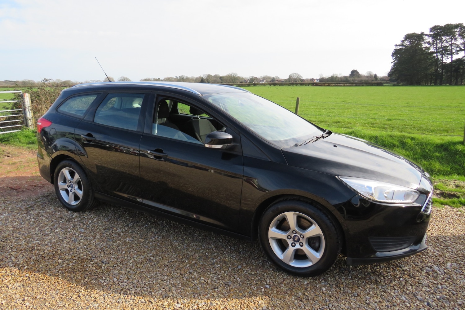 Used Ford Focus 2016 for sale - 77731064: Photo 5