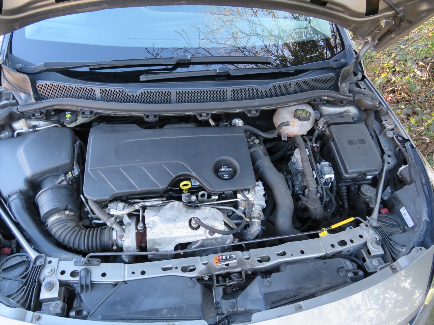 Vehicle 29