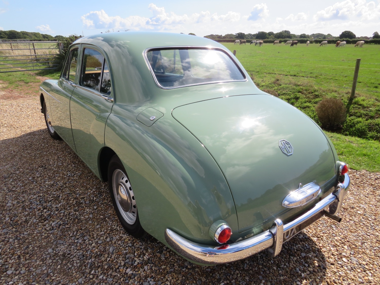 Vehicle 44