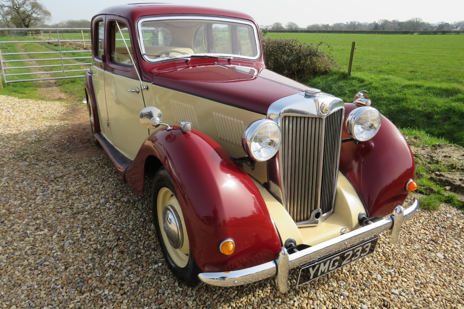 Used MG Y-Type 1931 for sale - 77759738: Photo 3