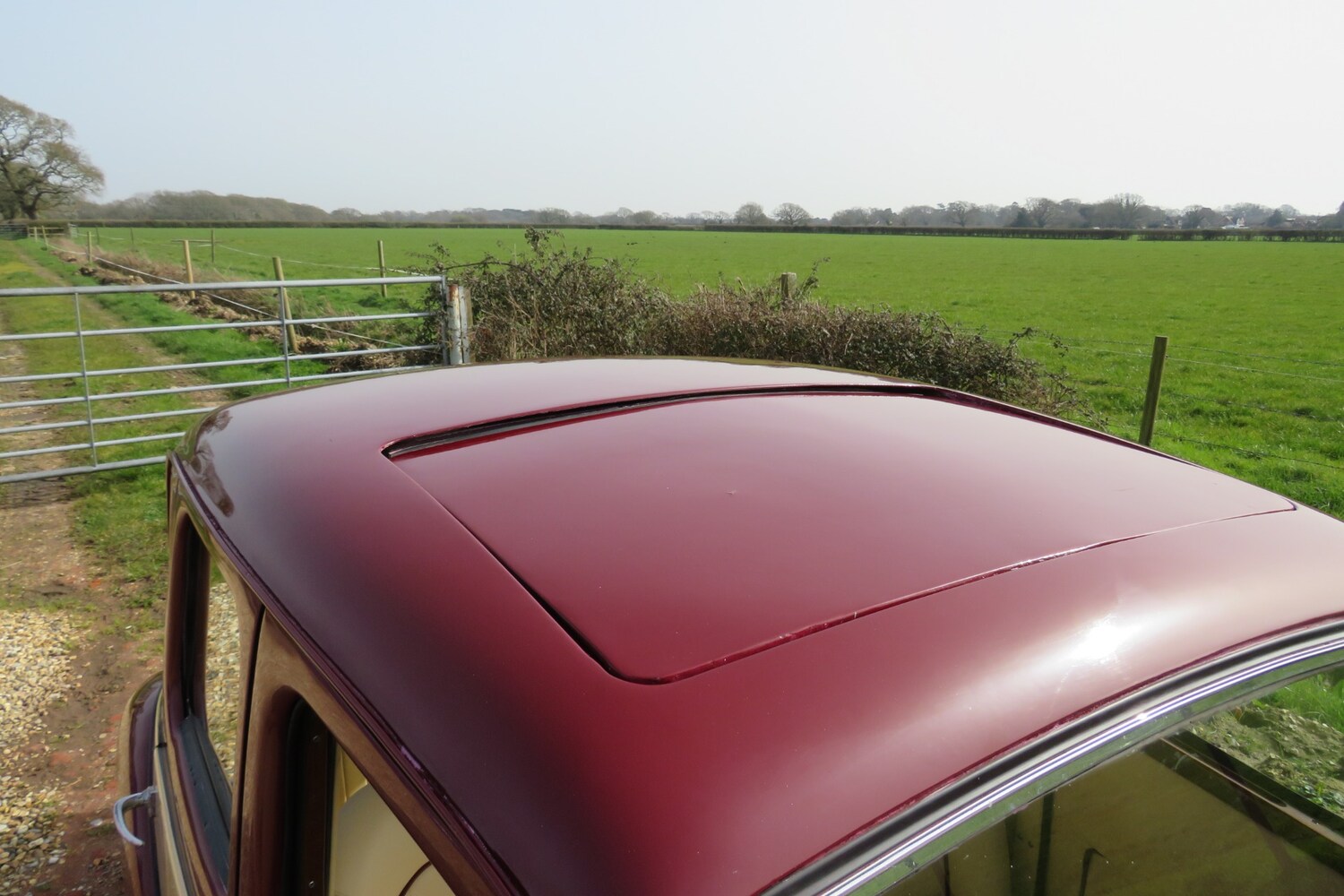 Used MG Y-Type 1931 for sale - 77759738: Photo 50