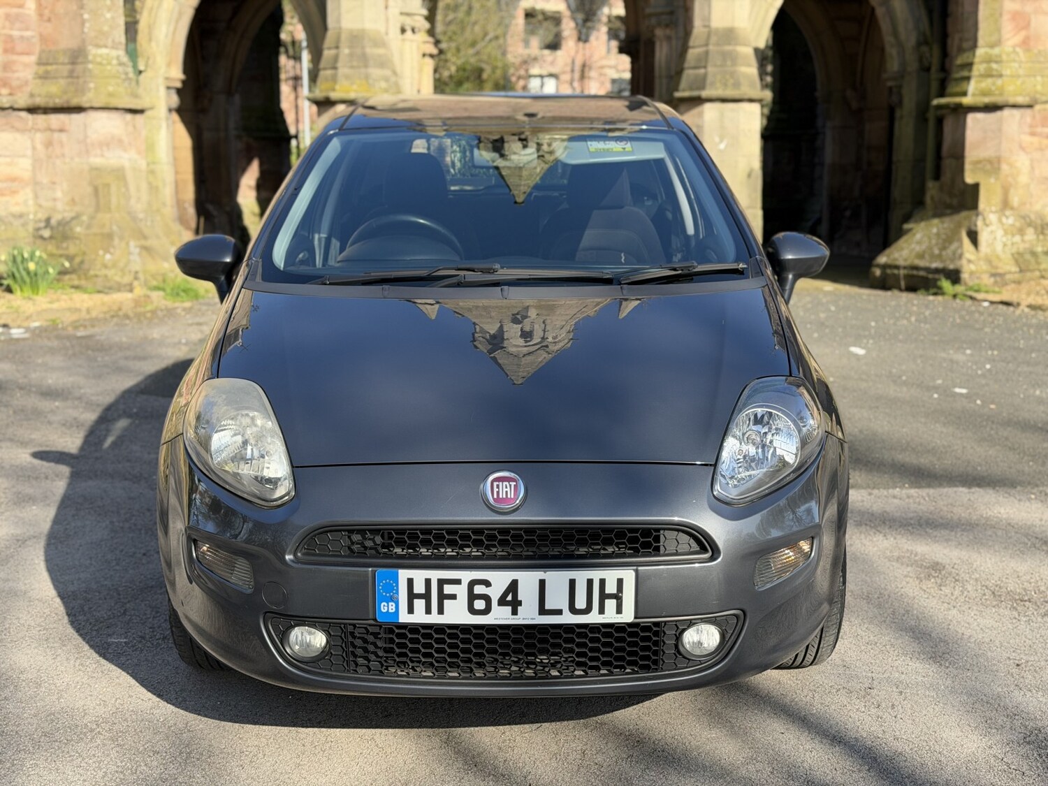 Used Fiat Punto 2014 for sale - 77991603: Photo 10