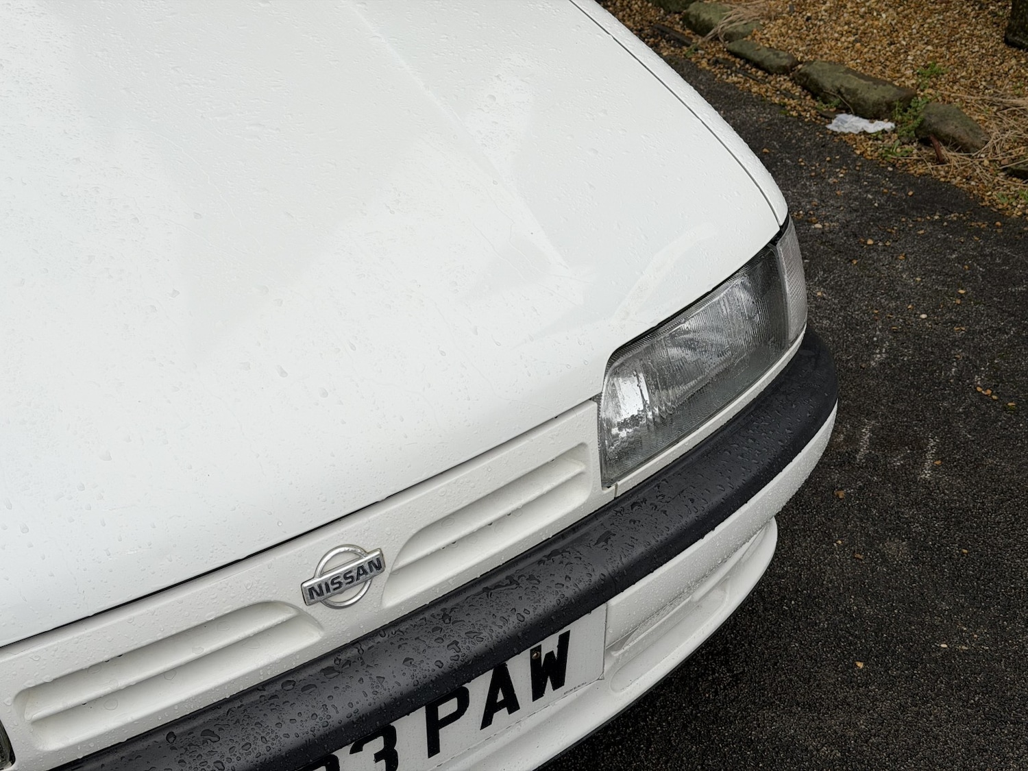 Used Nissan Primera 1990 for sale - 77350136: Photo 5
