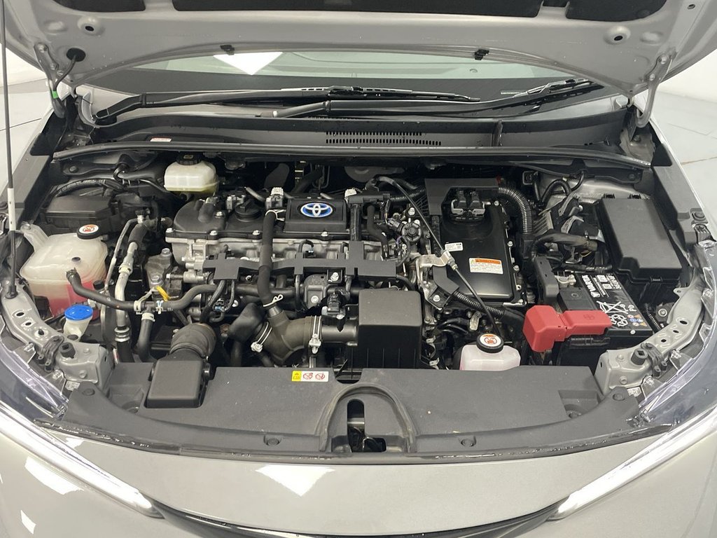 Used Toyota Corolla 2021 for sale - 76256626: Photo 35