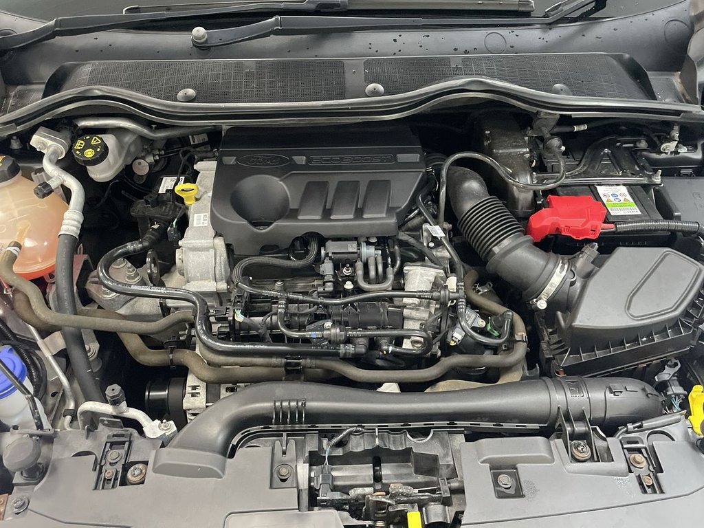 Used Ford Fiesta 2020 for sale - 76110414: Photo 39